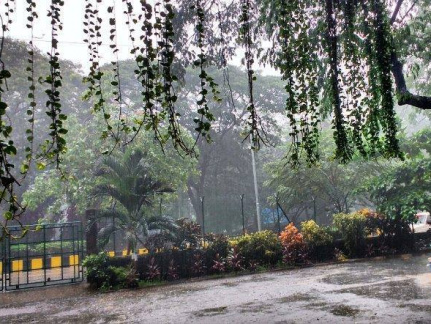 Campus on a rainy day