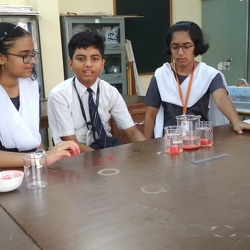 Summer camp at AECS 5, Mumbai in May 2018