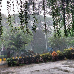 Campus on a rainy day