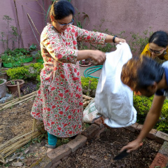 Preparing the soil