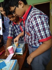 Glimpse of the activities