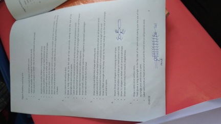 Glimpse of the activities