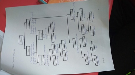 Glimpse of the activities