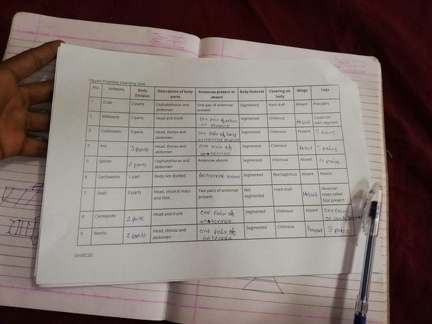 Glimpse of the activities