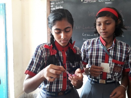 Glimpse of the activities