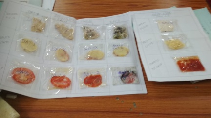 Glimpse of the activities