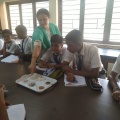 Glimpse of the activities