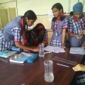 Glimpse of the activities