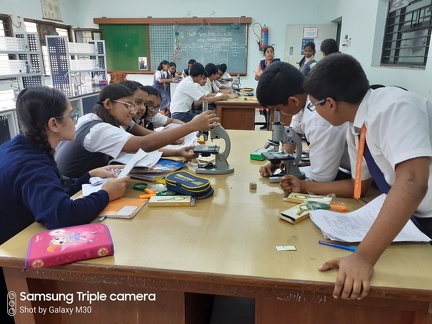 Glimpse of the activity