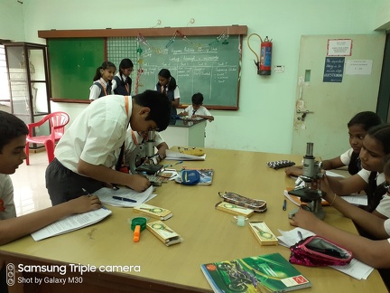 Glimpse of the activity