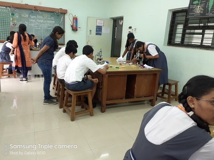 Glimpse of the activity