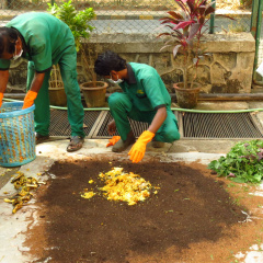CompostingFoodWaste-GardenStaff
