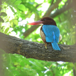 Life at HBCSE Campus